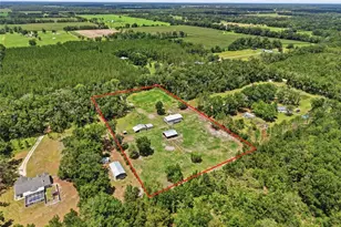 4889 SW 35th Trail, Bell, FL 32619 - Photo 45