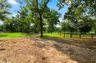 9809 NW 59th Terrace, Gainesville, FL 32653 - Photo 69