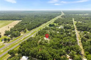 9580 US-27 ALT, Bronson, FL 32621 - Photo 45