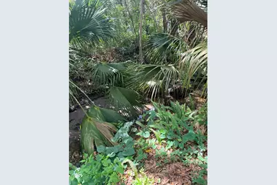 1229 NE 3rd Avenue, Gainesville, FL 32641 - Photo 3