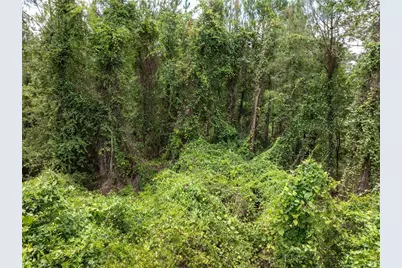 17198 SW State Road 47, Fort White, FL 32038 - Photo 17