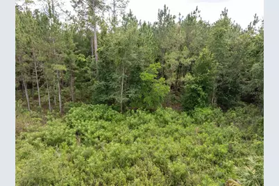 17198 SW State Road 47, Fort White, FL 32038 - Photo 11