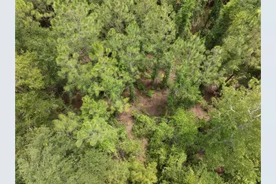 17198 SW State Road 47, Fort White, FL 32038 - Photo 13