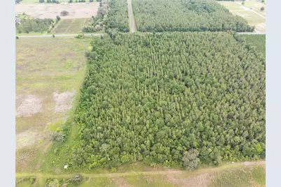 17198 SW State Road 47, Fort White, FL 32038 - Photo 7