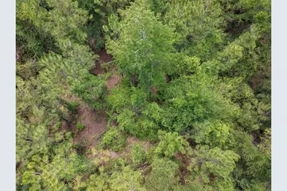 17198 SW State Road 47, Fort White, FL 32038 - Photo 15