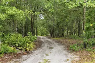 5529 NE 51 Ave, High Springs, FL 32643 - Photo 39