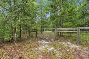 5529 NE 51 Ave, High Springs, FL 32643 - Photo 39