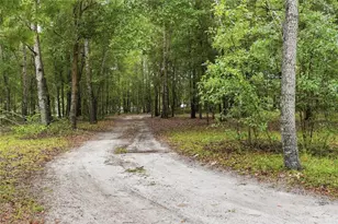 5529 NE 51 Ave, High Springs, FL 32643 - Photo 41