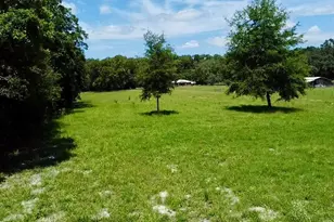 15770 NW 60th Ave, Chiefland, FL 32626 - Photo 69