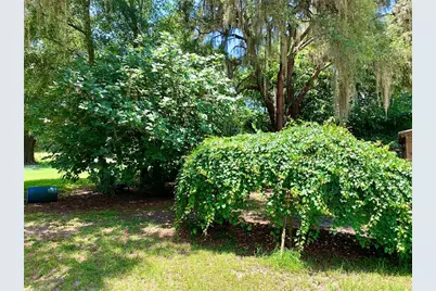 15770 NW 60th Avenue, Chiefland, FL 32626 - Photo 35