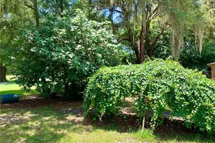 15770 NW 60th Ave, Chiefland, FL 32626 - Photo 35