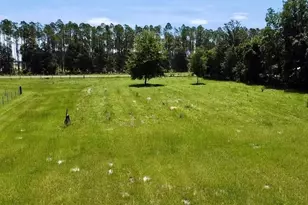 15770 NW 60th Ave, Chiefland, FL 32626 - Photo 73
