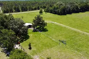 15770 NW 60th Ave, Chiefland, FL 32626 - Photo 55
