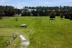 15770 NW 60th Ave, Chiefland, FL 32626 - Photo 63