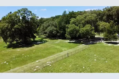 15770 NW 60th Avenue, Chiefland, FL 32626 - Photo 61