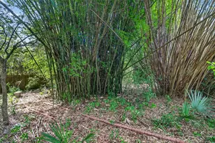 2840 NW 27th Terrace, Gainesville, FL 32605 - Photo 41