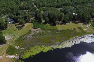 235 Ashley Lake Dr, Melrose, FL 32666 - Photo 41