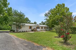 15591 NE 46th St, Williston, FL 32696 - Photo 3