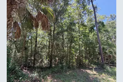 0 SE Hwy 19, Inglis, FL 34449 - Photo 1