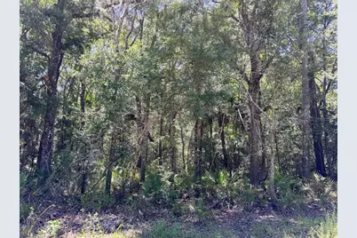 0 SE Hwy 19, Inglis, FL 34449 - Photo 3