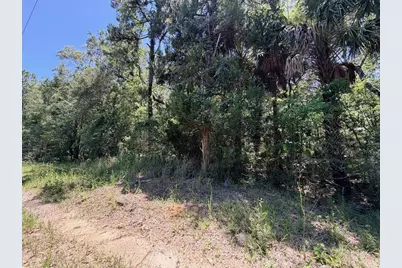 0 SE Hwy 19, Inglis, FL 34449 - Photo 5