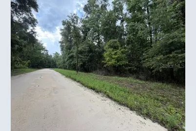 Ne 312th Avenue, Old Town, FL 32680 - Photo 3
