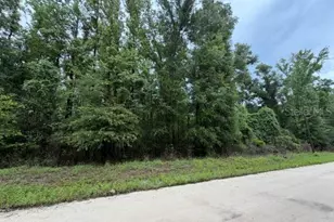 NE 312th Ave, Old Town, FL 32680 - Photo 1