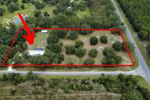 128 NE 326th Ave, Cross City, FL 32628 - Photo 3