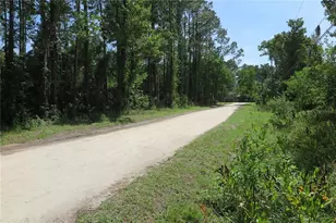 108 Pineshore Dr, Satsuma, FL 32189 - Photo 33