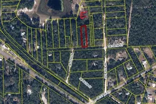 499 SE 58th St, Keystone Heights, FL 32656 - Photo 37
