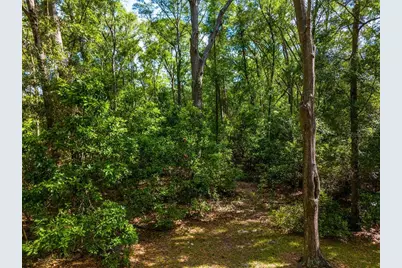 15713 NW 268th Terrace, High Springs, FL 32643 - Photo 35