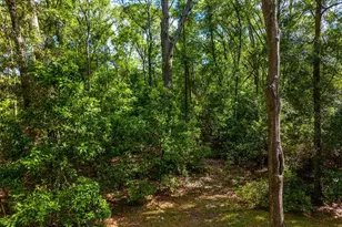 15713 N W 268th Terrace, High Springs, FL 32643 - Photo 35