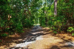 15713 N W 268th Terrace, High Springs, FL 32643 - Photo 33