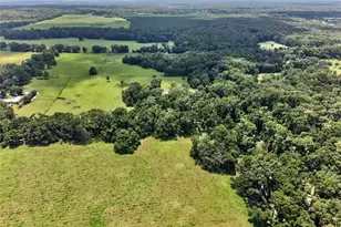 20104 NW 184th Terrace, High Springs, FL 32643 - Photo 43