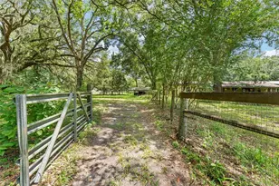 20104 NW 184th Terrace, High Springs, FL 32643 - Photo 23