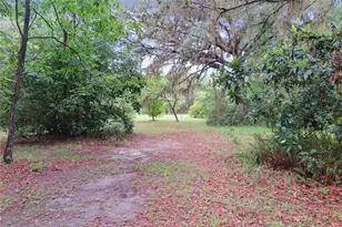 11519 SE 225th Dr, Hawthorne, FL 32640 - Photo 9
