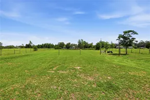 9831 NE 100th St, Archer, FL 32618 - Photo 53