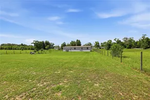 9831 NE 100th St, Archer, FL 32618 - Photo 55