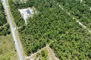 0 71st Ln, O'Brien, FL 32071 - Photo 35