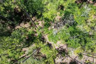 0 71st Ln, O'Brien, FL 32071 - Photo 37