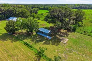 4351 NE 210th Ave, Williston, FL 32696 - Photo 71