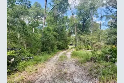 1109 NW 78th Avenue, Bell, FL 32619 - Photo 7