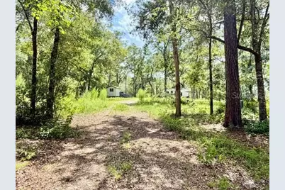 1109 NW 78th Avenue, Bell, FL 32619 - Photo 29