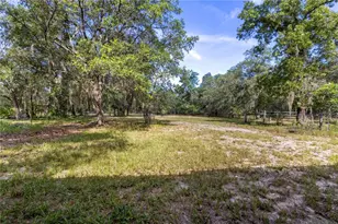 119 NE 98th Ln, Branford, FL 32008 - Photo 47