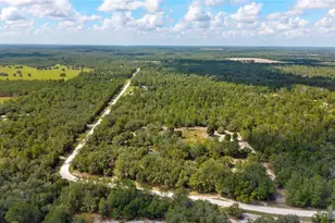 119 NE 98th Ln, Branford, FL 32008 - Photo 41