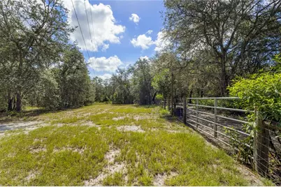 119 NE 98th Lane, Branford, FL 32008 - Photo 49