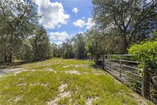 119 NE 98th Ln, Branford, FL 32008 - Photo 49