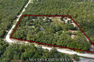 119 NE 98th Ln, Branford, FL 32008 - Photo 23