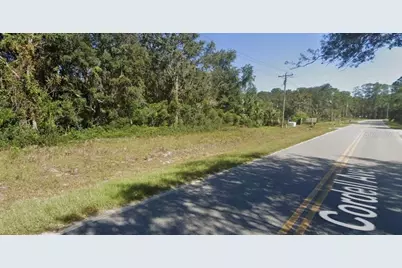 Cordell Avenue, Interlachen, FL 32148 - Photo 3