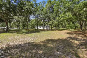 2876 SE County Rd 245, Lake City, FL 32025 - Photo 55
